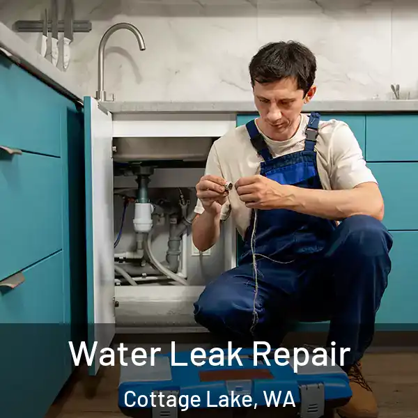  Water Leak Repair Cottage Lake, WA